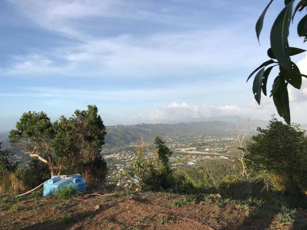 Camping Para Dos - A Escoger Segun Disponibilidad De Caseta O Cabana 卡瓜斯 外观 照片