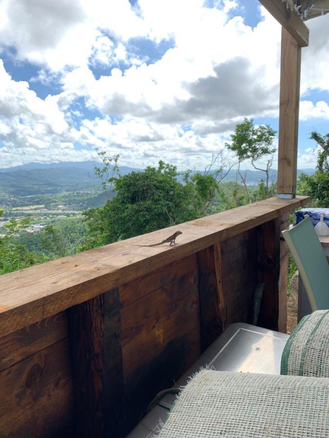 Camping Para Dos - A Escoger Segun Disponibilidad De Caseta O Cabana 卡瓜斯 外观 照片